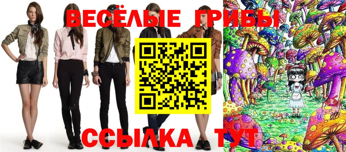Галлюциногенные грибы мухоморы Гусь-Хрустальный